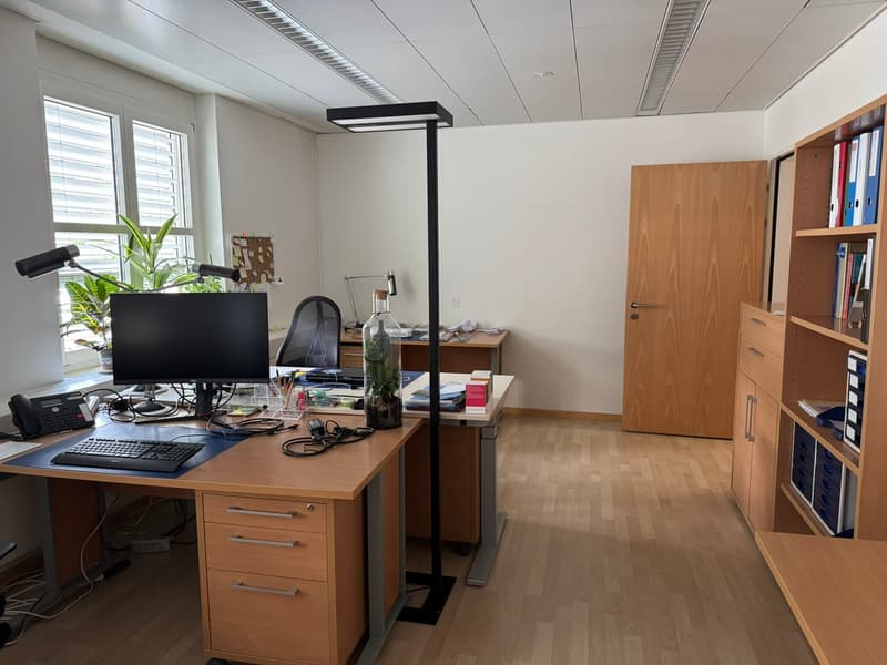 office, computer desk, monitor, keyboard, mouse, chair, office cabinet, wooden floor, overhead lamps