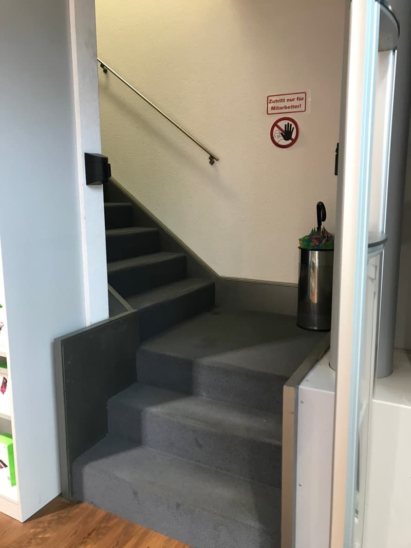 stairs leading to upper floor, carpeted steps, handrail on left side, metal umbrella stand on right side