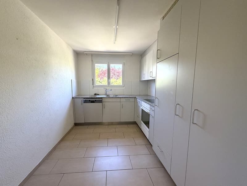Sisseln Reiheneinfamilienhaus