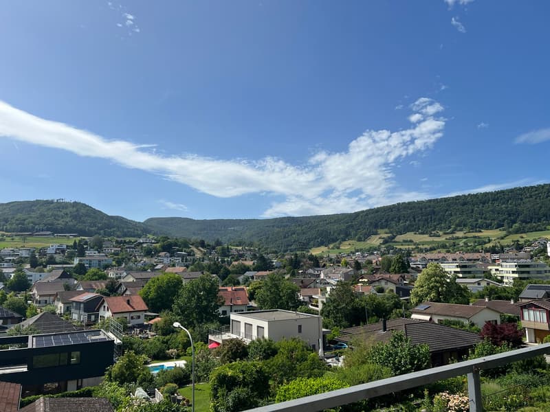 Terrassenwohnung Erlinsbach