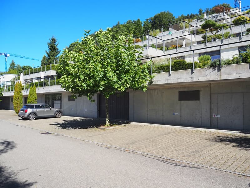 Terrassenwohnung Erlinsbach