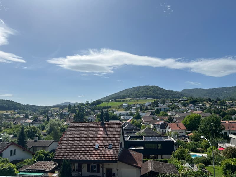 Terrassenwohnung Erlinsbach