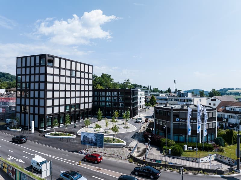 Interessante Gewerbe- und Büroflächen! (8)
