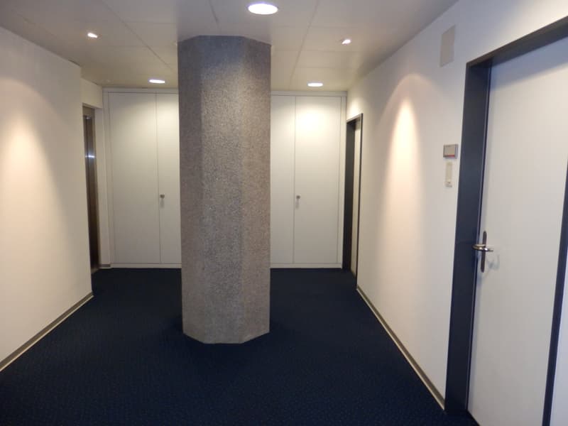 Interessante Gewerbe- und Büroflächen! (3)
