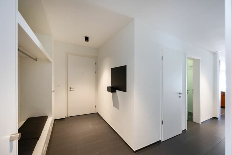 4.5-Zimmer-Wohnung (3)