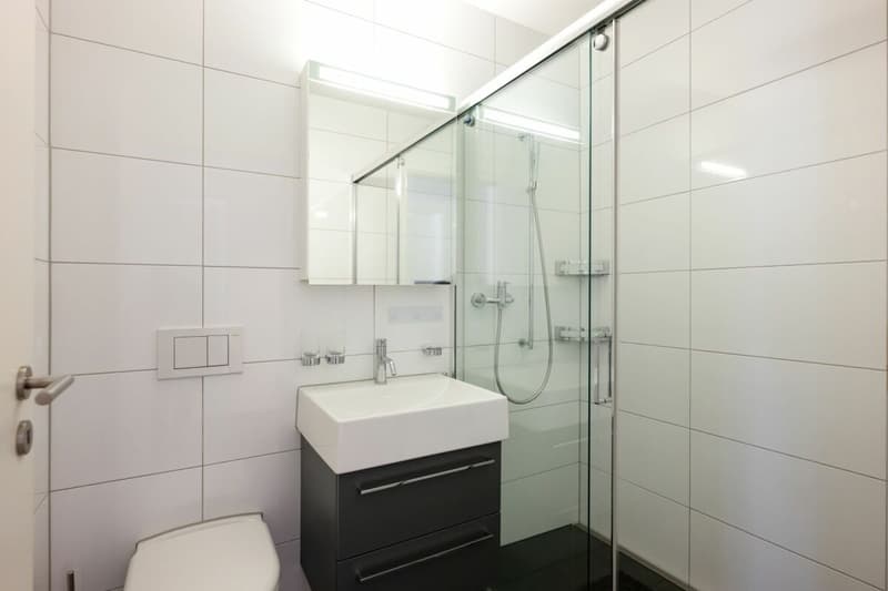 4.5-Zimmer-Wohnung (10)