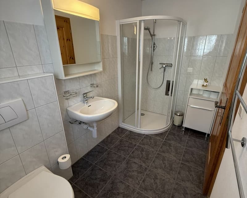 5.5-Zimmer-Einfamilienhaus (6)
