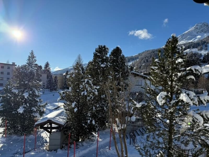 Sonnige 5.5 Zimmerwohnung an ruhiger Lage (4)