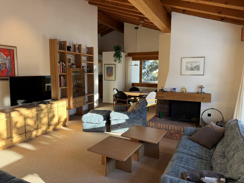 Sonnige 5.5 Zimmerwohnung an ruhiger Lage (5)