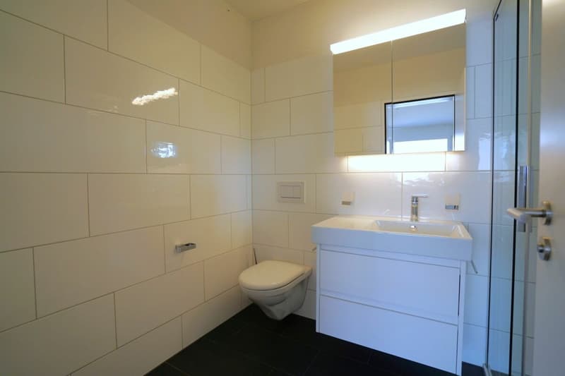 4.5-Zimmer-Attikawohnung ZWEITWOHNSITZ (8)