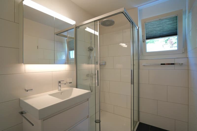 4.5-Zimmer-Attikawohnung ZWEITWOHNSITZ (9)