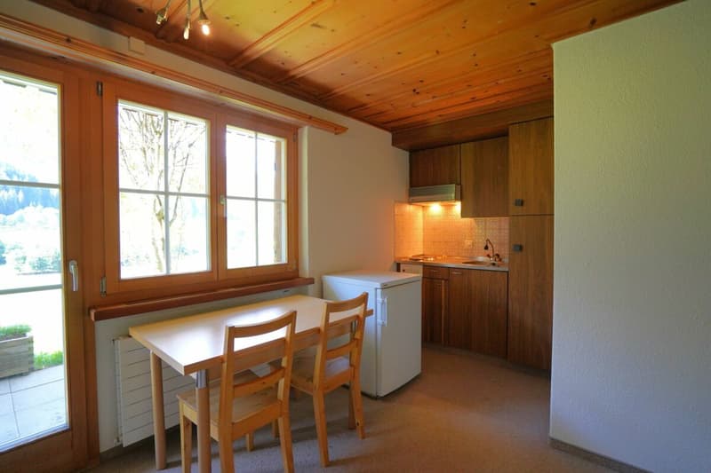 1-Zimmer-Wohnung / Studio ZUR DAUERMIETE (4)
