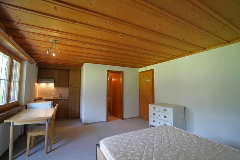 1-Zimmer-Wohnung / Studio ZUR DAUERMIETE (5)