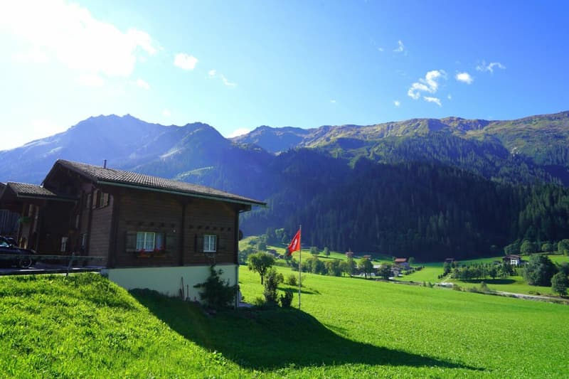 1-Zimmer-Wohnung / Studio ZUR DAUERMIETE (1)