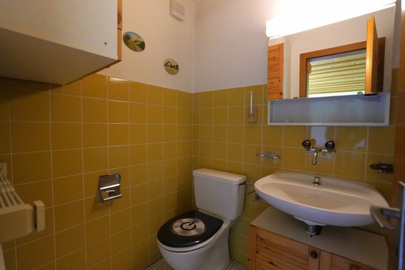 1-Zimmer-Wohnung / Studio ZUR DAUERMIETE (7)