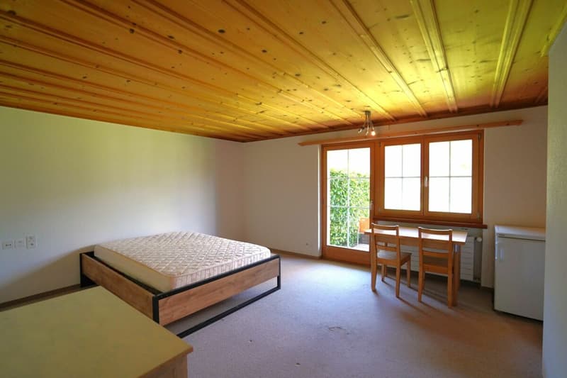 1-Zimmer-Wohnung / Studio ZUR DAUERMIETE (3)