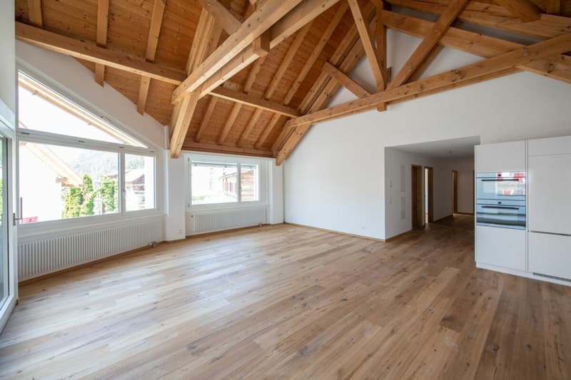Moderne 4.5 Zimmerwohnung Nr. 4 in einem wunderschönen historischen Haus Kopie (3)