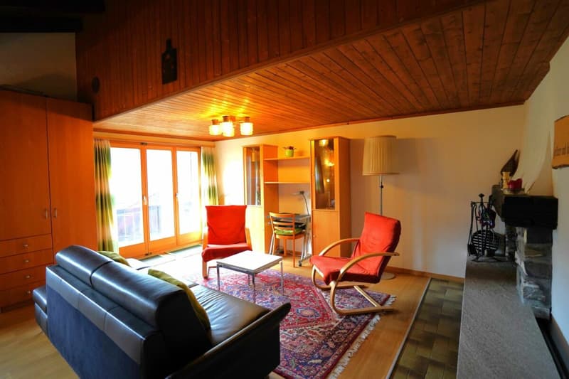 1.5-Zimmer-Dachwohnung (4)