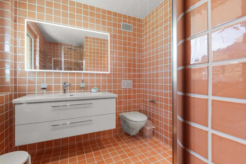 2.5-Zimmer-Wohnung ZWEITWOHNSITZ (7)