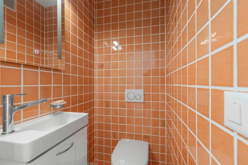 2.5-Zimmer-Wohnung ZWEITWOHNSITZ (8)