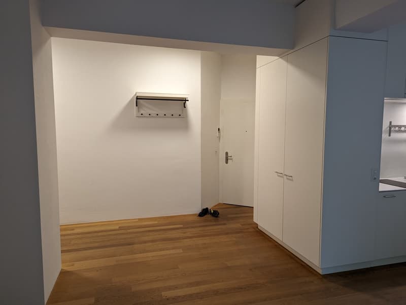 Eingangsbereich/Wohnzimmer