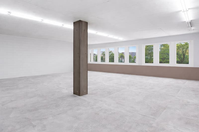 488 m² flexible Geschäftsfläche in Cham (2)