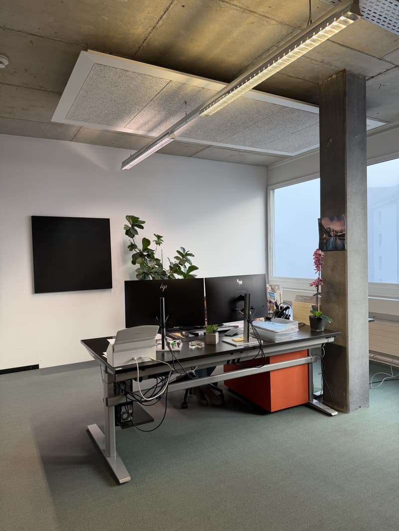 Bürofläche mit flexiblen Ausbaumöglichkeiten - Arbeiten im Zentrum von Stans (8)
