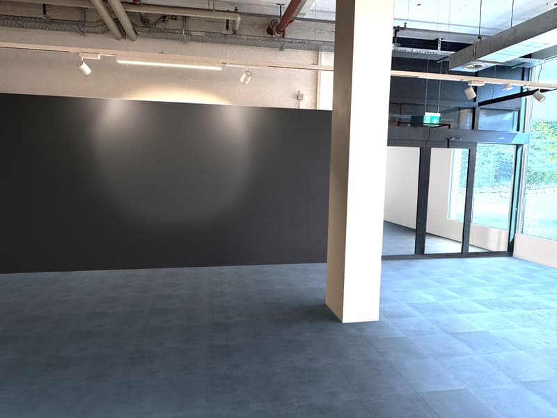 Laden- oder Dienstleistungsflächen an idealer Verkehrslage 826 m² (6)