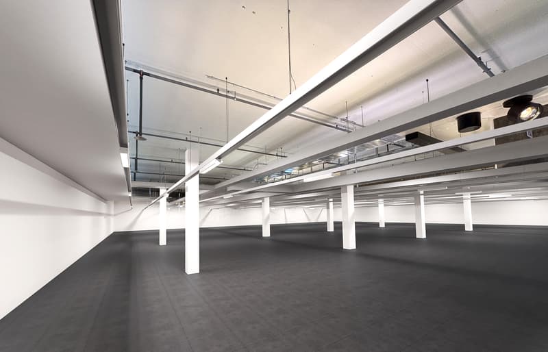 Laden- oder Dienstleistungsflächen an idealer Verkehrslage 826 m² (7)