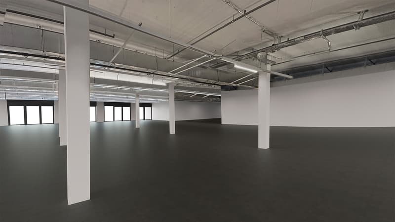 Laden- oder Dienstleistungsflächen an idealer Verkehrslage 826 m² (8)