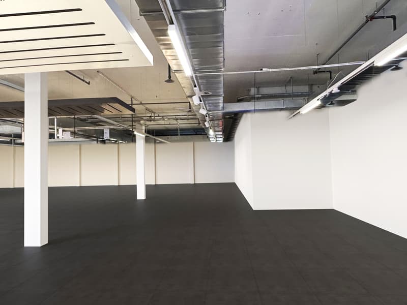 Laden- oder Dienstleistungsflächen an idealer Verkehrslage 826 m² (5)