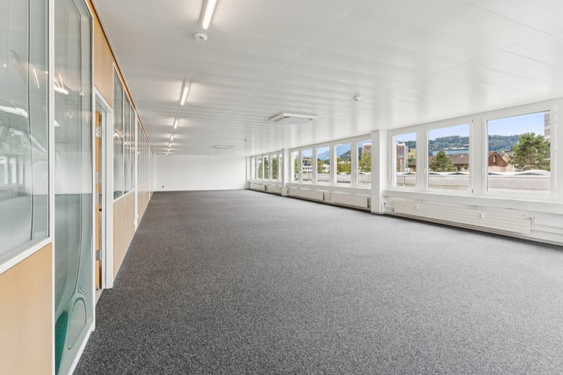 Attraktive Büro-/Gewerbeadresse in Rotkreuz - Für unterschiedlichste Nutzungen geeignet! (6)