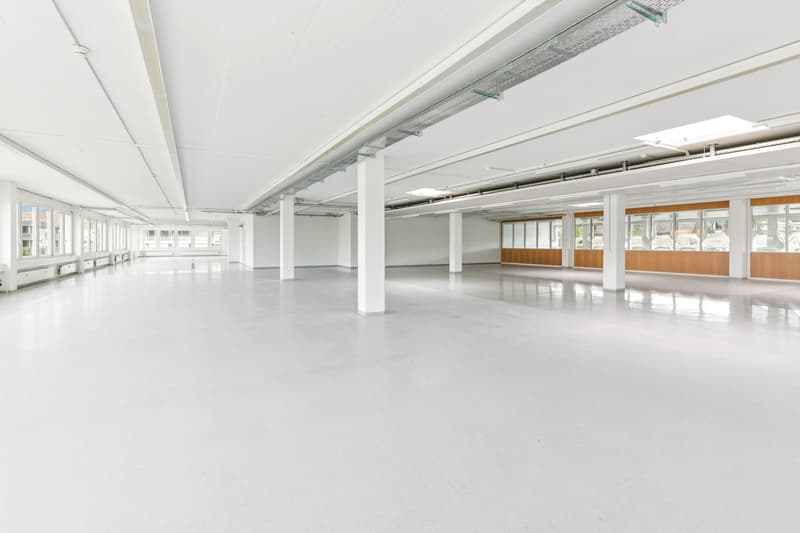 Attraktive Büro-/Gewerbeadresse in Rotkreuz - Für unterschiedlichste Nutzungen geeignet! (3)