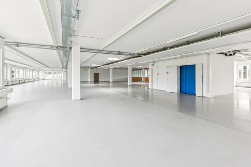 Attraktive Büro-/Gewerbeadresse in Rotkreuz - Für unterschiedlichste Nutzungen geeignet! (2)