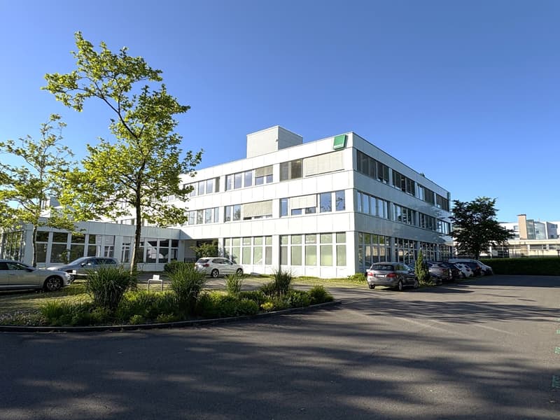 Attraktive Büro-/Gewerbeadresse in Rotkreuz - Für unterschiedlichste Nutzungen geeignet! (1)