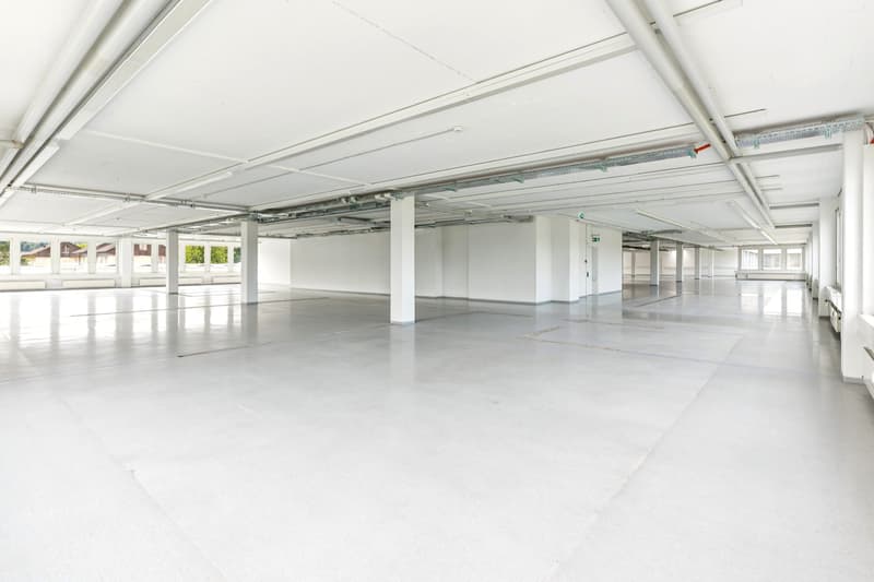 Flexible Büro- und Gewerbeflächen an zentraler Lage - Für unterschiedlichste Nutzungen geeignet! (4)