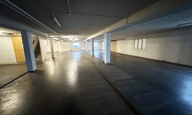 Gewerbehalle zur vorübergehenden Nutzung (3)