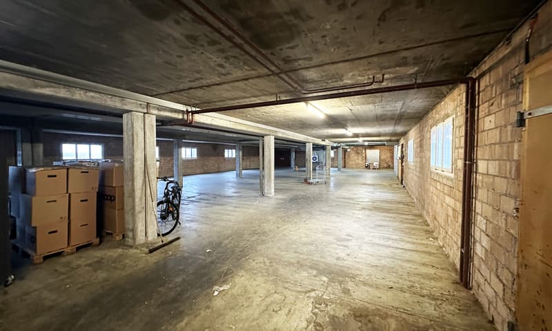 Gewerbehalle zur vorübergehenden Nutzung (1)