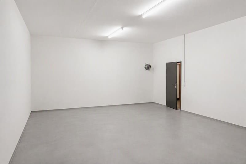 Praktischer Archiv- / Lagerraum zu vermieten - Archiv zu vermieten (3)