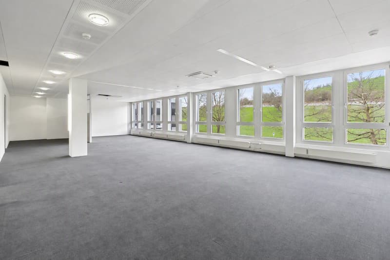 Eingangsbereich / Open Space