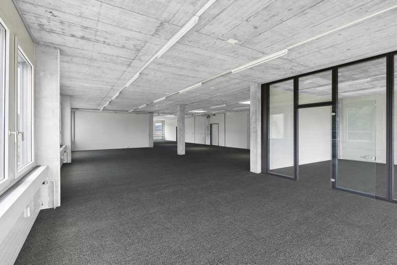 Offener Bürobereich mit Zugang zum Sitzungszimmer (Visualisierung Teppichboden)