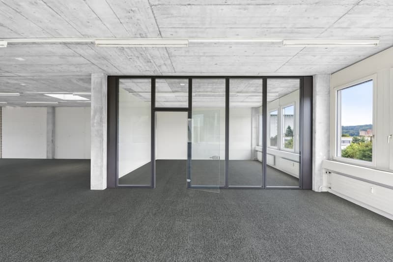 Sitzungszimmer / Einzelbüro (Visualisierung Teppichboden)