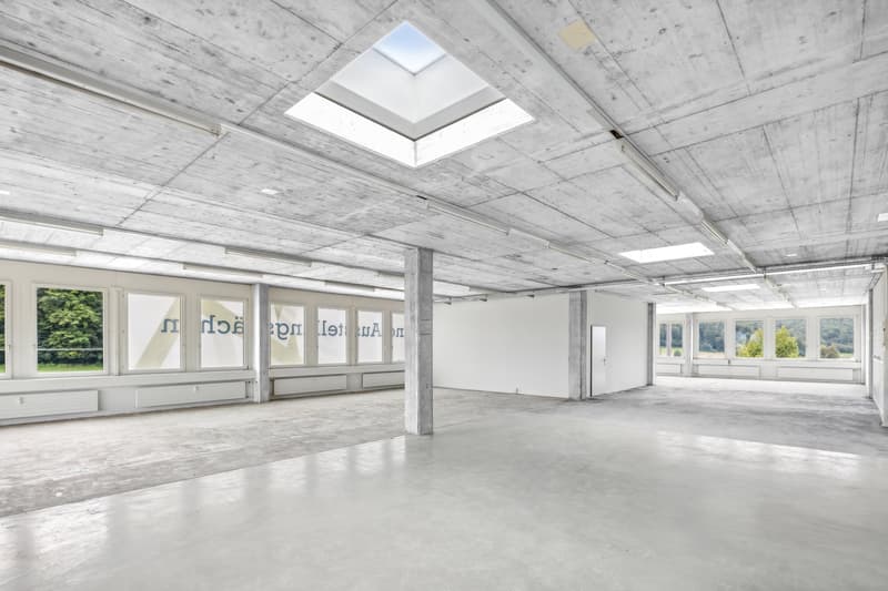 Helles Eckbüro mit Oblichtern