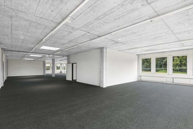 Offener Bürobereich (Visualisierung Teppichboden)