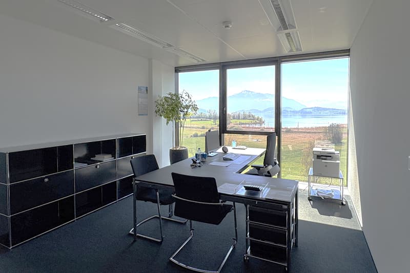 Modernes Einzelbüro mit See- und Bergsicht