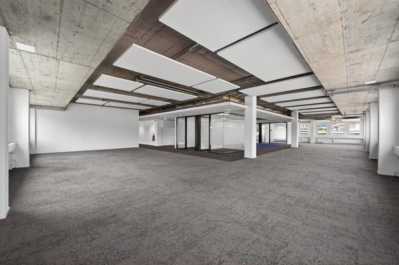 Grosszügiger Open Space mit Tageslicht