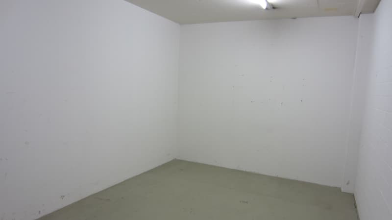 Lagern/Archivieren in Sihlbrugg (3)