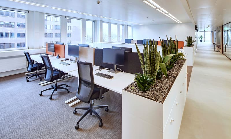Zwölf Co-Working Arbeitsplätze - tageweise buchbar