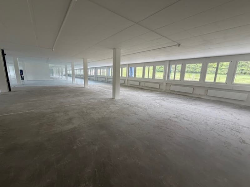 Chemin de la Combeta 3-5 - Bel immeuble représentatif pour bureaux, artisanat, industrie légère (4)