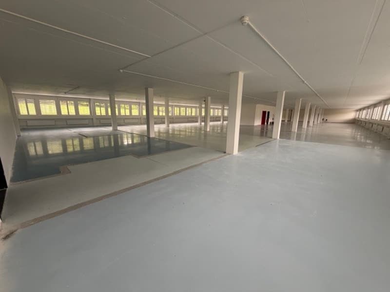 Chemin de la Combeta 3-5 - Bel immeuble représentatif pour bureaux, artisanat, industrie légère (2)